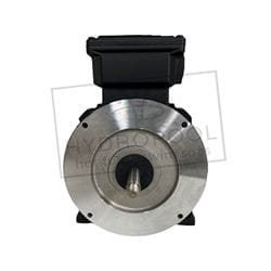 6505162 - Motor for EX VSP Pump      
