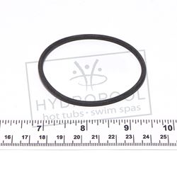 4505045 - O-ring  for 2in Diverter Valve Body (4525091)